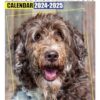 Portuguese Water Dogs Calendar 2024 - 2025: Plan Your Year with Monthly Planner Jan 2024 to Dec 2025, Beautiful Photography - Perfect for Gifting