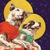 Soviet Space Dogs