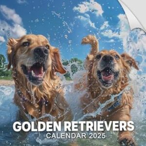 Golden Retrievers Calendar 2025: 365 Days of Creativity, Bonus Last 3 Months 2024, Tailored Golden Retrievers, A Unique Gift for Every Holiday, Yankee Swap, Seasonal Celebrations, Featuring