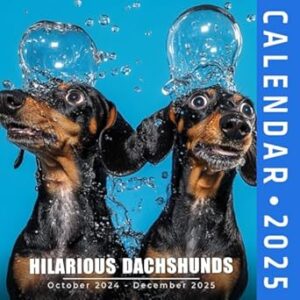Hilarious Dachshunds Calendar 2025: Laugh at the Humor of Dachshunds All Year, Featuring the Last 3 Months of 2024, Perfect for Dog Lovers, A Hilarious Gift for Every Season