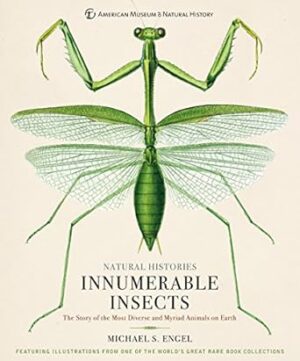 Innumerable Insects: The Story of the Most Diverse and Myriad Animals on Earth