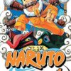 Naruto, Vol. 1 (Volume 1): Uzumaki Naruto