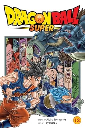Dragon Ball Super, Vol. 13 (Volume 13)