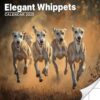 Elegant Whippets Calendar 2025: Graceful imagery of Whippets in elegant poses