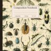 Composition Notebook: Vintage Insect Illustration. Entomology Journal, College Ruled, 120 Pages, 8.5" x 11"