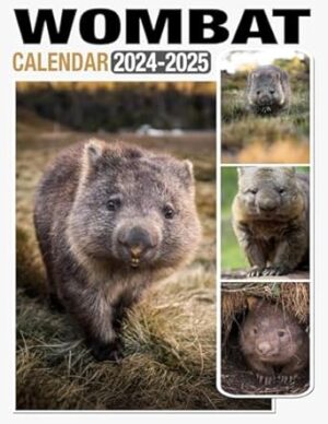 Wombat Calendar 2024 - 2025: Monthly Planner Jan 2024 to Dec 2025, Thick & Sturdy Paper, Unruled Blocks, Eco Friendly, Great Gifts For Beloved Fan