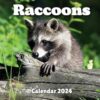 Raccoons Calendar 2024: September 2023 to December 2024 Monthly Weekly Organizer To Keep Track Of Dates , For All Ages