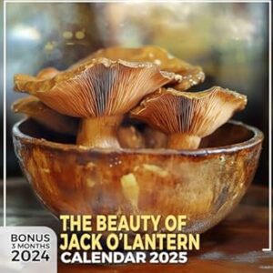 The Beauty of Jack O'Lantern Calendar 2025: 15 Months of Candlelit Delights October 2024 to December 2025 Capturing Stunning Jack O'Lantern ... in Large Size 8.5 x 8.5 Ideal Gifts
