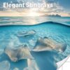 Elegant Stingrays Calendar 2025: A Year Celebrating the Grace and Beauty of Stingrays