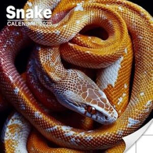Snake Calendar 2025: Monthly Planner Highlighting the Mysterious and Beautiful Snakes
