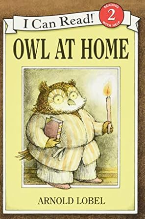 Owl at Home