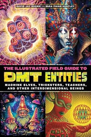 The Illustrated Field Guide to DMT Entities: Machine Elves, Tricksters, Teachers, and Other Interdimensional Beings