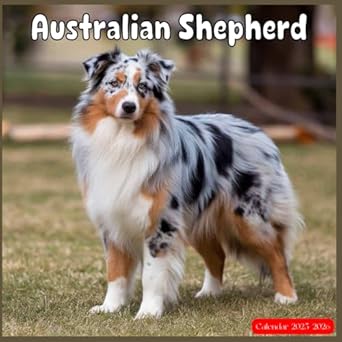 Australian Shepherd Calendar 2025-2026: 2 Year Planner January 2025 - December 2026 | Australian Shepherd Cover Design