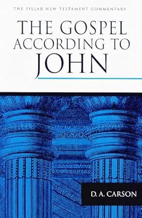 Gospel According to John: An Introduction and Commentary