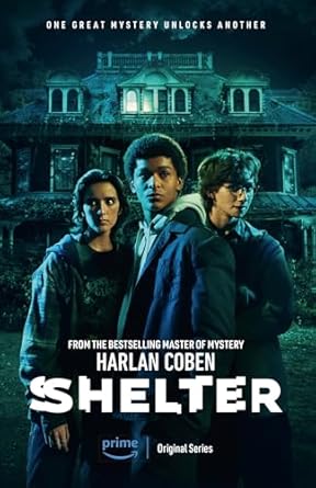 Shelter: From the Number One bestselling creator of the hit Netflix series Missing You