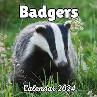 Badgers Calendar 2024: 16 Months Organizer For Home & Office Organizer , Mens , Womens , kids