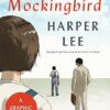 To Kill a Mockingbird: A Graphic Novel