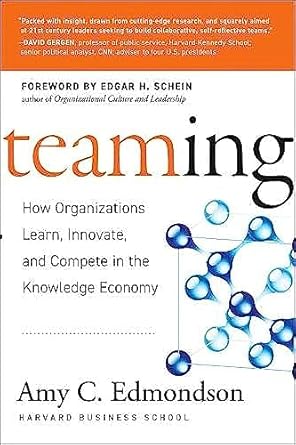 Teaming: How Organizations Learn, Innovate, and Compete in the Knowledge Economy