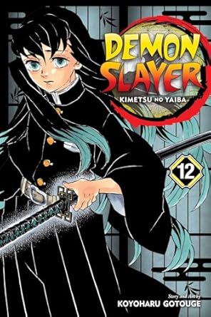 Demon Slayer: Kimetsu no Yaiba, Vol. 12 (Volume 12)