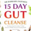 Dr Barbara Inspired 15 Day Gut Cleanse: Transform Your Gut in Just 15 Days! Discover O'Neill's Secrets for Lasting Health (1)