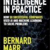Artificial Intelligence in Practice: How 50 Successful Companies Used AI and Machine Learning to Solve Problems