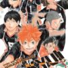 Haikyu!!, Vol. 12 (Volume 12): The Tournament Begins!