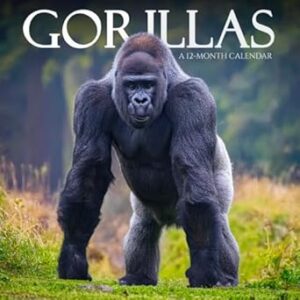 Gorillas Calendar 2025: A Year of Strength and Intelligence in the Wild