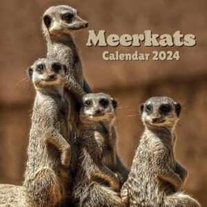 Meerkats Calendar 2024: September 2023 to December 2024 Monthly Weekly Organizer To Keep Track Of Dates with Amazing Aimals Design