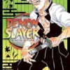 Demon Slayer: Kimetsu no Yaiba, Vol. 17 (Volume 17)