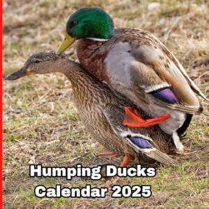 Humping Ducks Calendar 2025