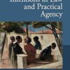 Reasons and Intentions in Law and Practical Agency