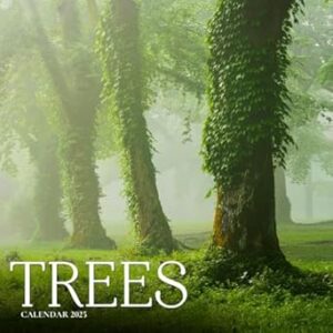 Trees Calendar 2025: A Year of Stunning Tree Photography Showcasing Nature’s Tallest Wonders