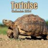Tortoise Calendar 2024: 16 Months Organizer From September 2023 to December 2024 ,For Animals lovers , Men , Women , Girls , Boys