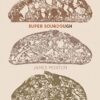Super Sourdough: The Foolproof Guide to Making World-Class Bread at Home