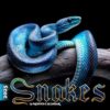 Snakes Calendar 2025: A Mesmerizing Journey Through the World of Slithering Serpents