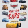 MEET THE CARS