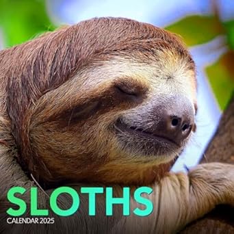 Sloth Calendar 2025: Embrace the Art of Relaxation with the World’s Laziest Animals