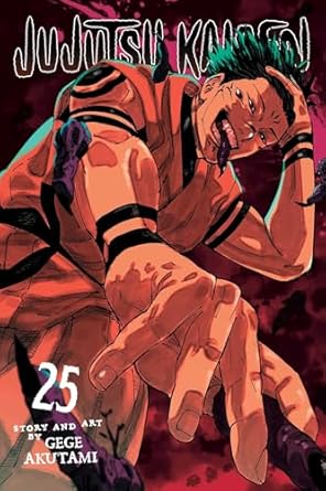 Jujutsu Kaisen, Vol. 25 (Volume 25)