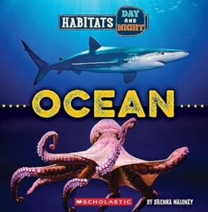 Ocean (Wild World: Habitats Day and Night)