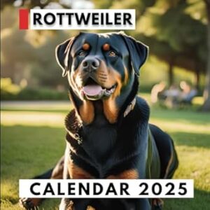 Rottweiler Calendar 2025: Rottweilers for Dog Lovers Organizing and Planning