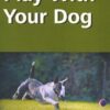 Play with Your Dog