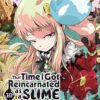 That Time I Got Reincarnated as a Slime, Vol. 10 (light novel): Volume 10