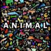 Animal: Exploring the Zoological World