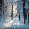 Enchanting Winter Forests Calendar 2025: Enjoy the Tranquility of Winter Forests All Year, Featuring the Last 3 Months of 2024, Ideal for Nature Lovers, A Cozy Gift for Every Season